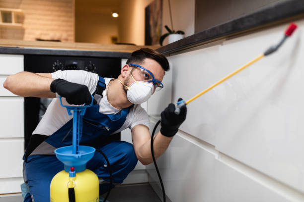 Best Cockroach Control Services  in Vassar College, NY