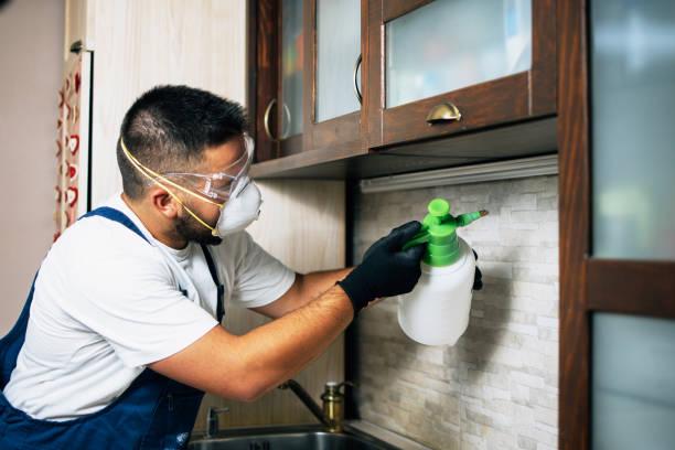 Best Pest Control for Homes  in Vassar College, NY