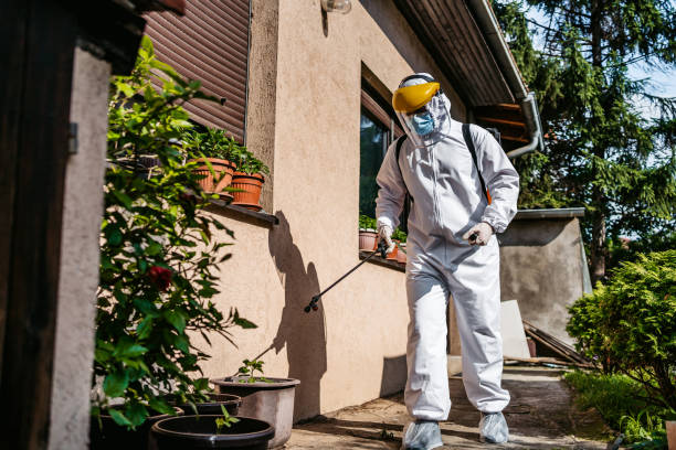 Wildlife Control Services in Vassar College, NY
