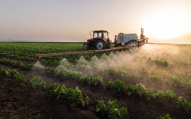 Best Mosquito Control Services  in Vassar College, NY
