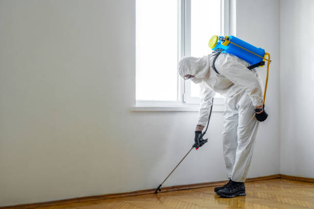 Best Rat Extermination Near Me  in Vassar College, NY