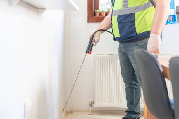 Best Wasp Removal Services  in Vassar College, NY
