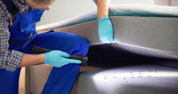 Best Pest Removal Services  in Vassar College, NY