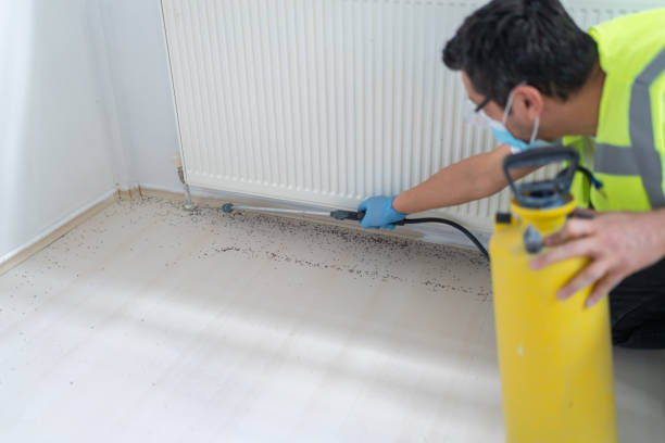 Best Pest Control for Restaurants  in Vassar College, NY